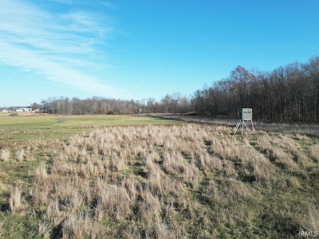 view of yard with a rural view