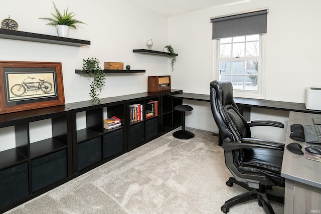 office space with light colored carpet