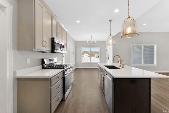 kitchen with stainless steel appliances, gray cabinets, a sink, and light countertops