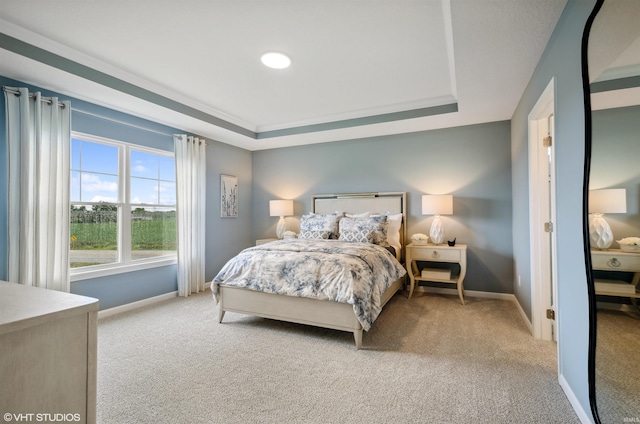 8973 Belmont Woods, Fort Wayne, IN 46835 - bedroom with baseboards, a tray ceiling, and light colored carpet