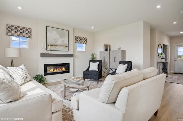 8973 Belmont Woods, Fort Wayne, IN 46835 - living area with light wood-style floors, plenty of natural light, and a glass covered fireplace