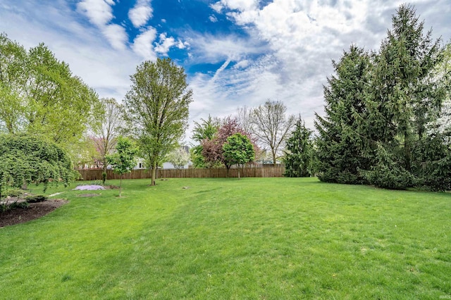 7910 Moss Grove Pl, Fort Wayne, IN 46825 - view of yard with fence