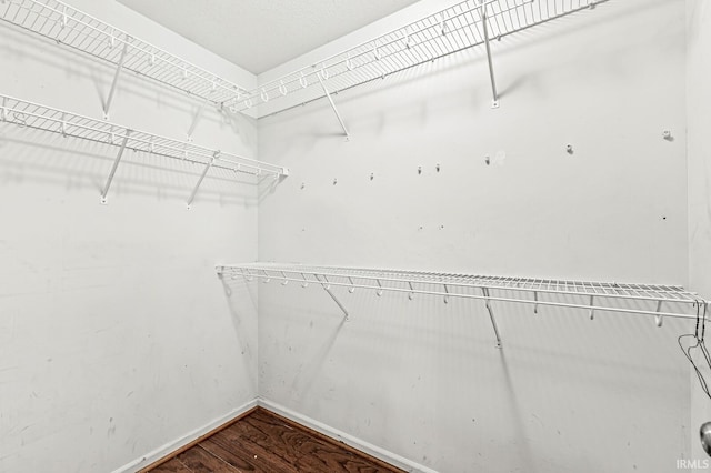 walk in closet featuring dark wood finished floors