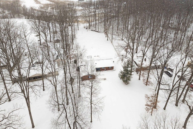 view of snowy aerial view