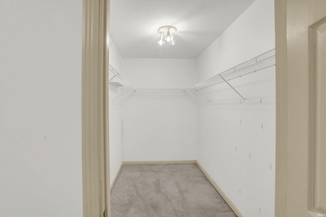 walk in closet with light carpet