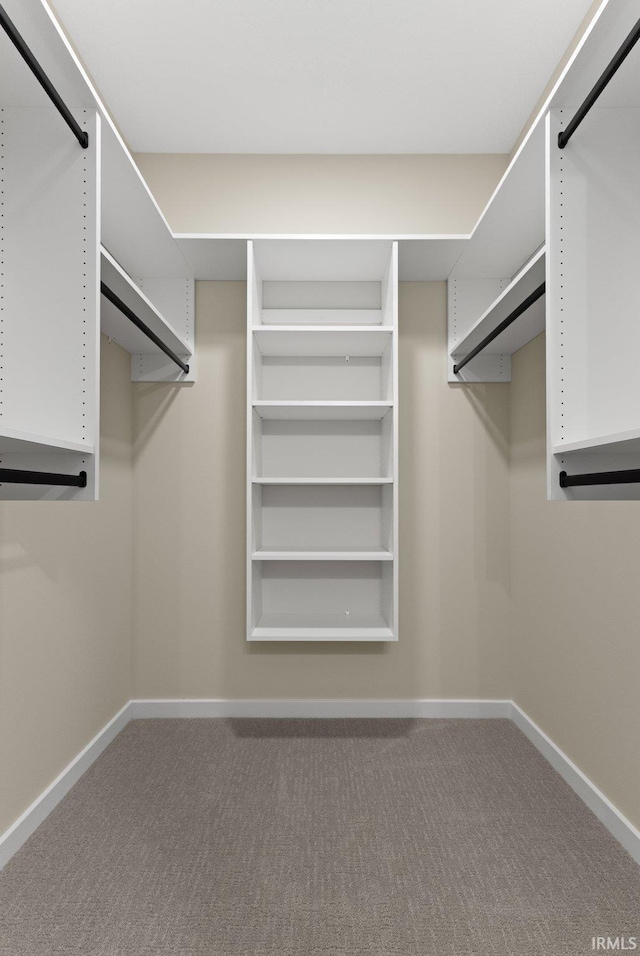 spacious closet featuring carpet floors