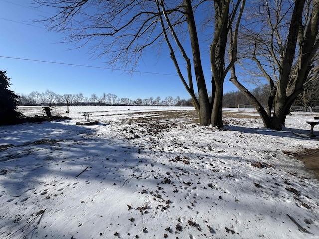 view of yard covered in snow