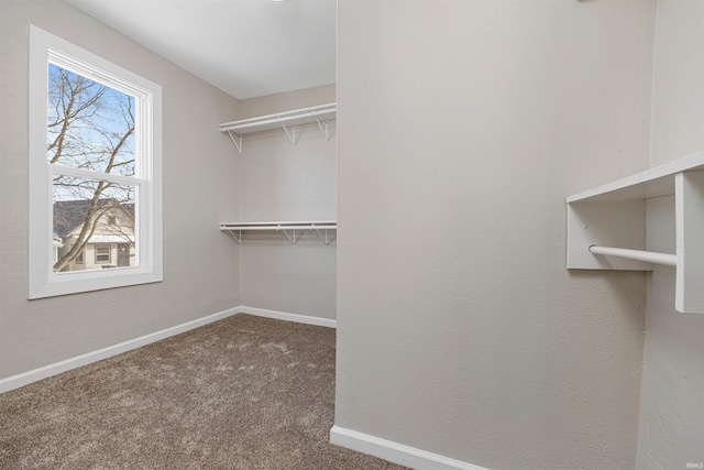 walk in closet featuring dark carpet