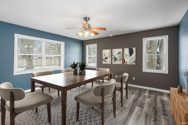 dining room with a ceiling fan, baseboards, and wood finished floors