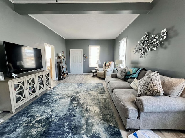 living room featuring baseboards and wood finished floors