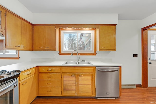 kitchen with light wood-style flooring, appliances with stainless steel finishes, a sink, light countertops, and a wealth of natural light