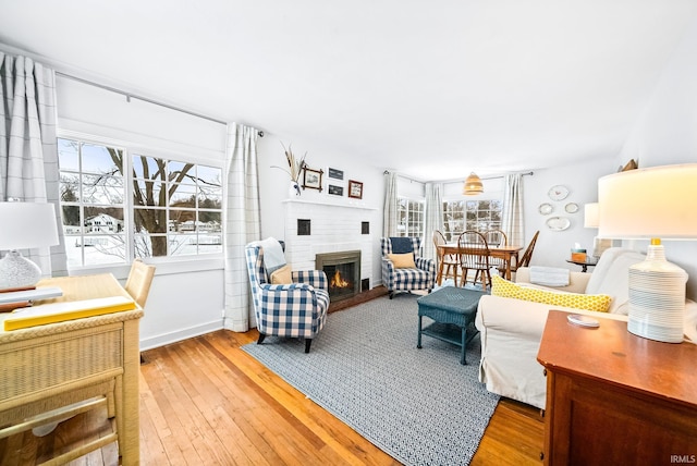 living room featuring a fireplace and wood finished floors