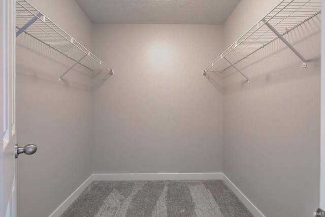 walk in closet featuring carpet