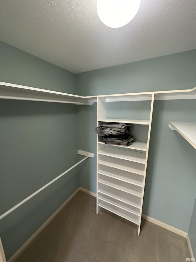 spacious closet with carpet floors