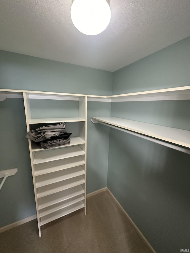 walk in closet with carpet floors