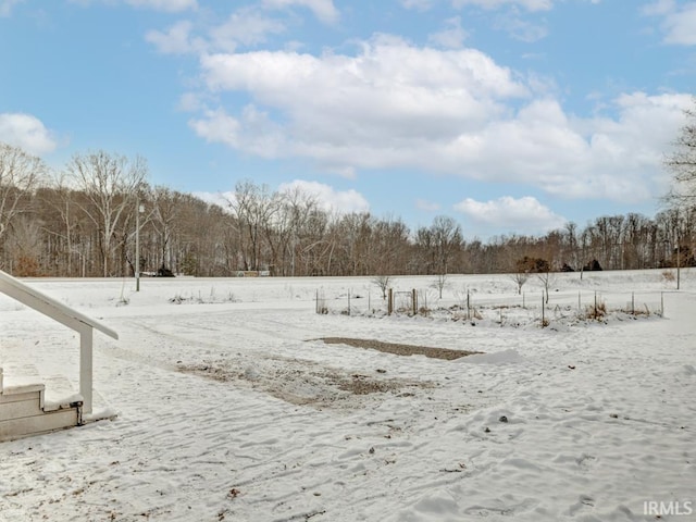 view of yard layered in snow