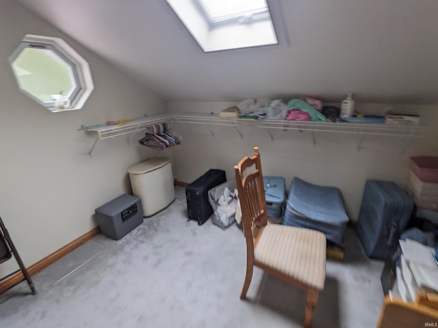 storage room with a skylight