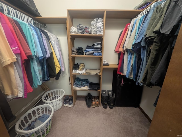 walk in closet with carpet