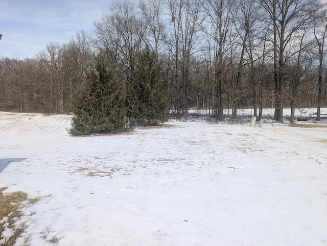 view of yard layered in snow