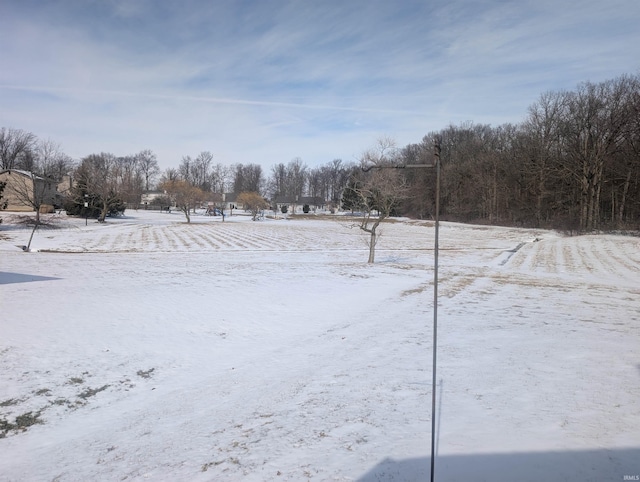 view of yard covered in snow