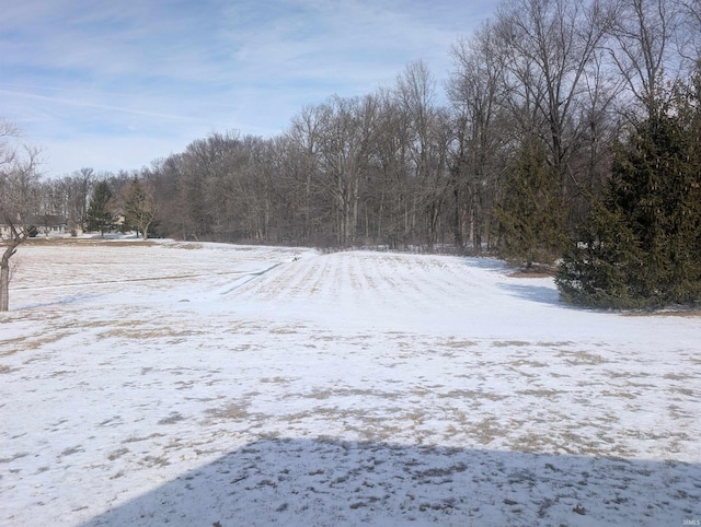 view of yard layered in snow