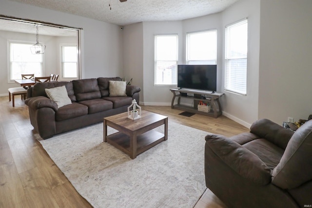 living area featuring a textured ceiling, baseboards, and wood finished floors