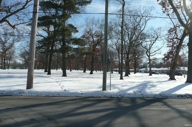 view of yard layered in snow