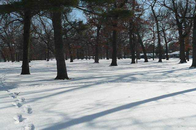 view of yard layered in snow