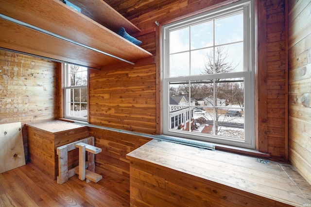 interior space with wood walls