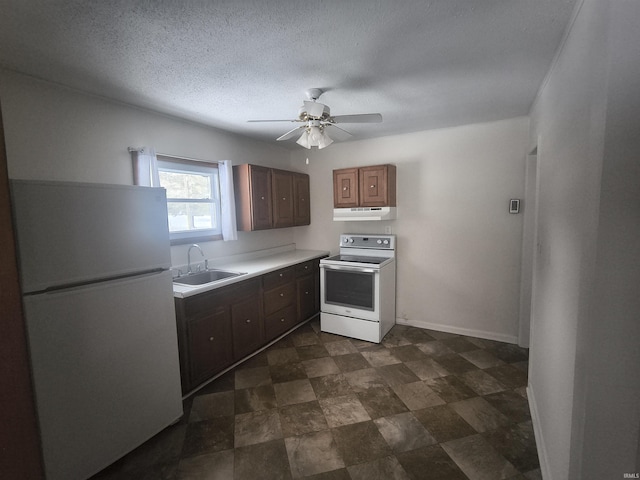 kitchen featuring white appliances, baseboards, light countertops, under cabinet range hood, and a sink