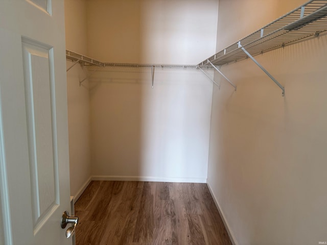 walk in closet with wood finished floors