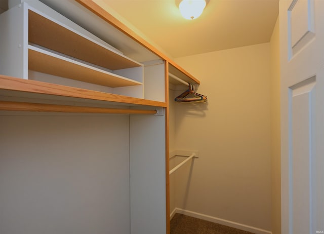walk in closet with carpet floors
