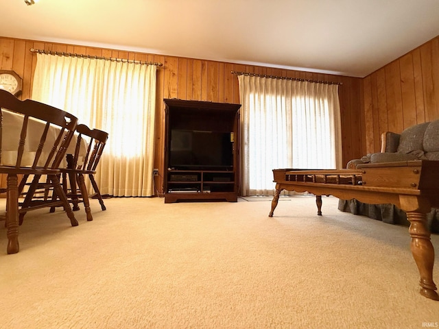 living area featuring carpet and wooden walls