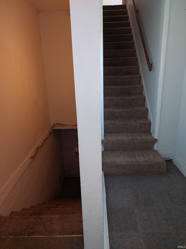 stairway with carpet flooring