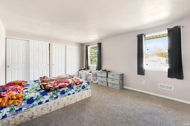 carpeted bedroom with visible vents, baseboards, and two closets