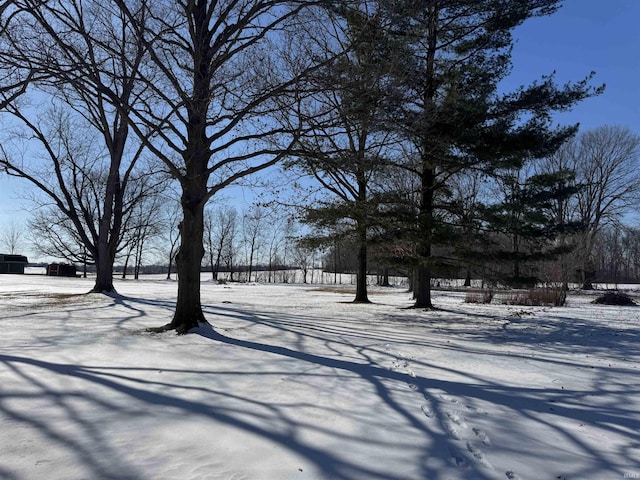 view of yard covered in snow