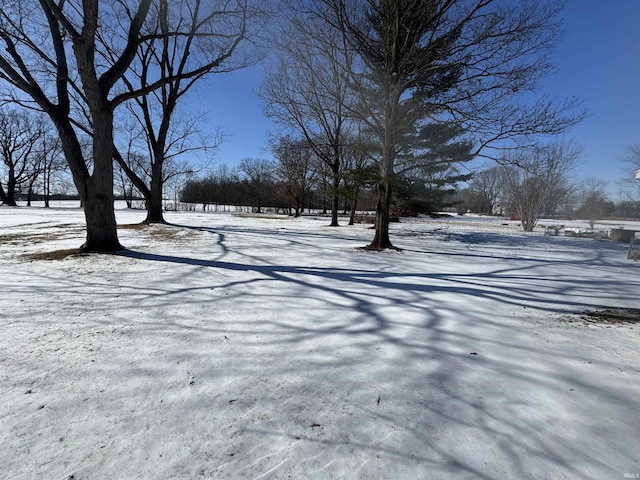 view of yard layered in snow