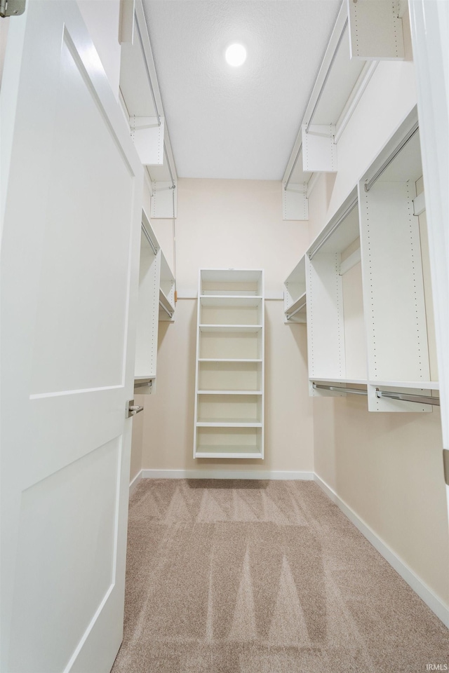 spacious closet with light carpet