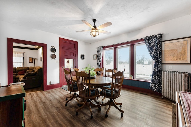 dining room featuring radiator, light wood-style floors, ceiling fan, a textured ceiling, and baseboards