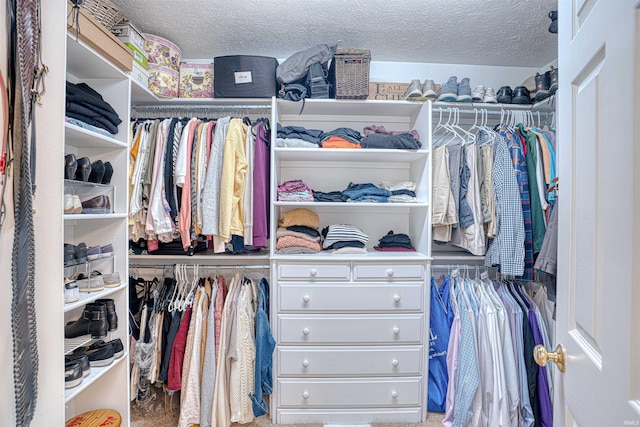 view of spacious closet