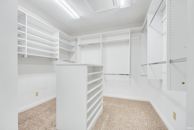 spacious closet with light carpet