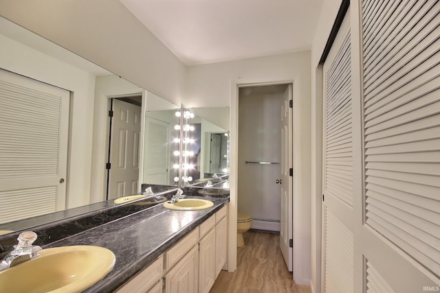 bathroom featuring a closet, a sink, and toilet