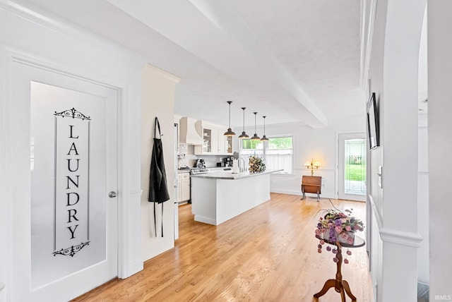 entrance foyer featuring light wood-type flooring