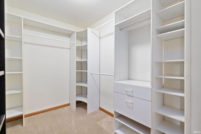 spacious closet featuring light carpet