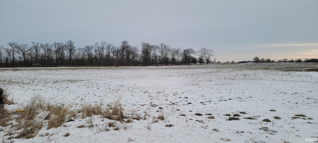 view of yard covered in snow