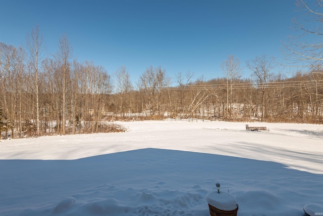 view of yard layered in snow