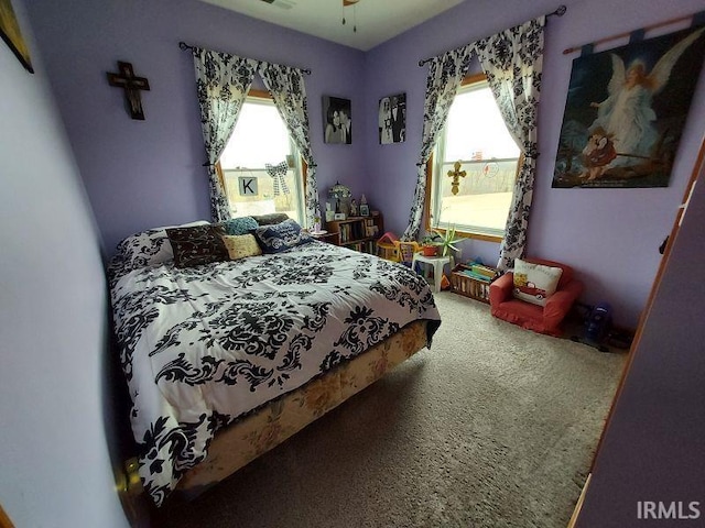 carpeted bedroom with multiple windows