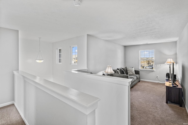 carpeted living area featuring baseboards and a textured ceiling