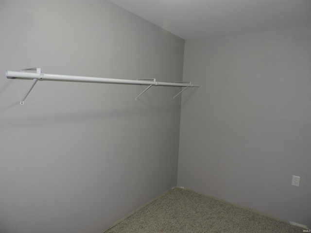 walk in closet featuring carpet flooring