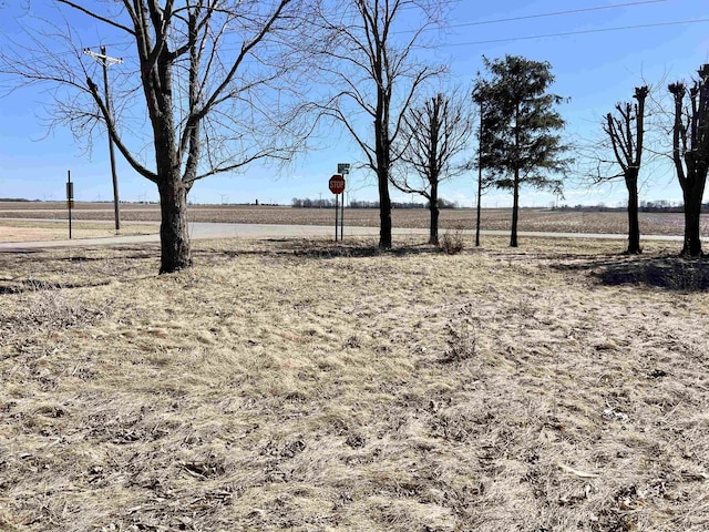 view of yard with a rural view